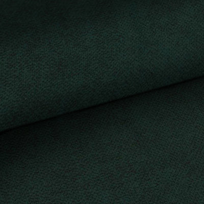 Fabric sample Cloud Black Fern (CLOUD 38)