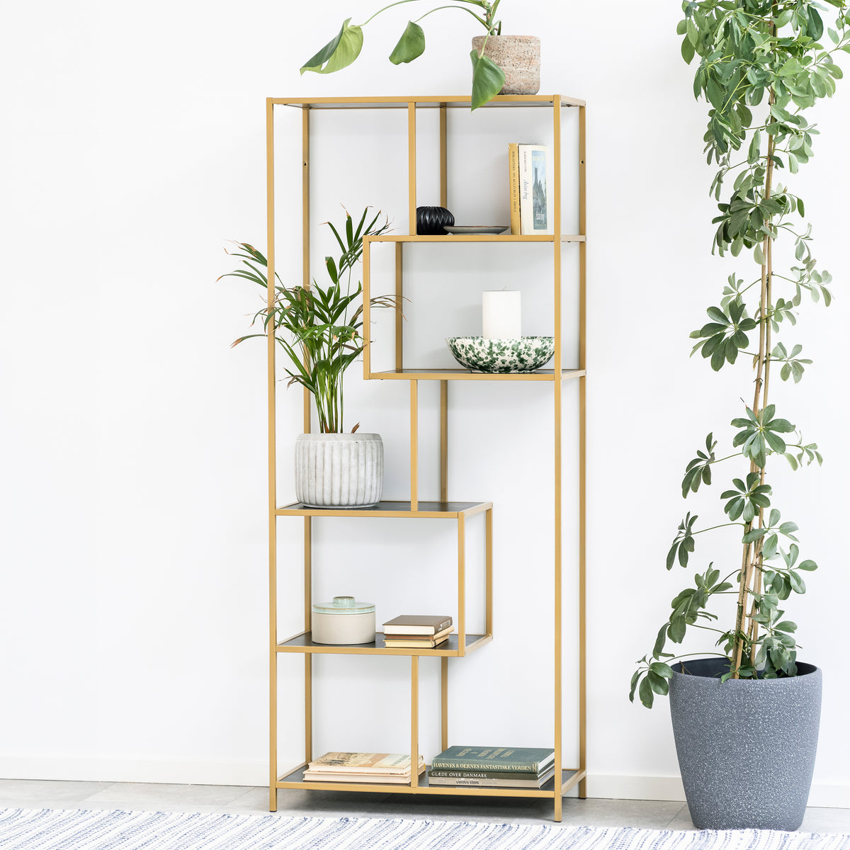 Skeleto-boekenkast 77x185, zwarte melamine (gouden frame) tegen een witte muur, omringd door planten in potten – een glamoureuze boekenkast