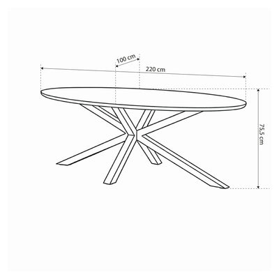 Surfo Large Oval Dining Table 220x76 cm, Industrial Style – dimensions drawing